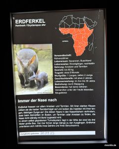 Zoo Frankfurt