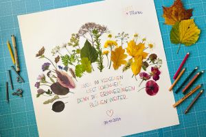 Einen Regenbogen aus getrockneten Blumen basteln (Abschied & Neuanfang)