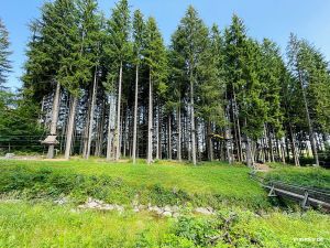 Waldseilgarten an der Höllschlucht