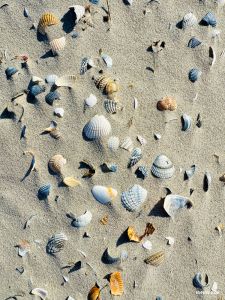 Strandaufgang Wilhelmshöhe