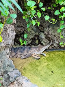 Zoo Frankfurt