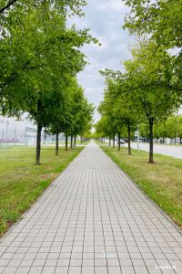 Spaziergang vom Novotel Hotel zum Besucherpark